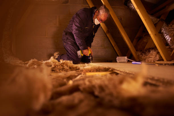 Best Insulation Installation Services in Contra Costa Centre, CA